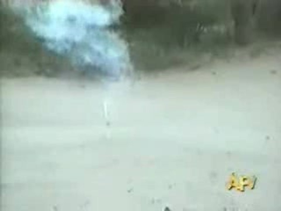 chien-dangereux-feu-artifice