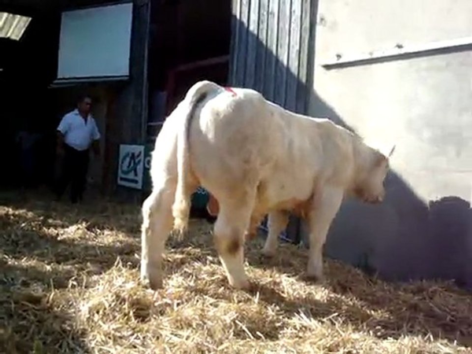 ventes au gaec de gueurce 119