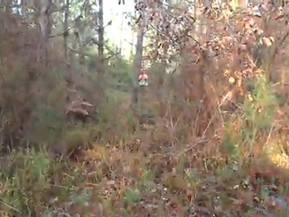 Bu ferma Bütün Çulluk Avcılarına GeLSiN...R O C K Y