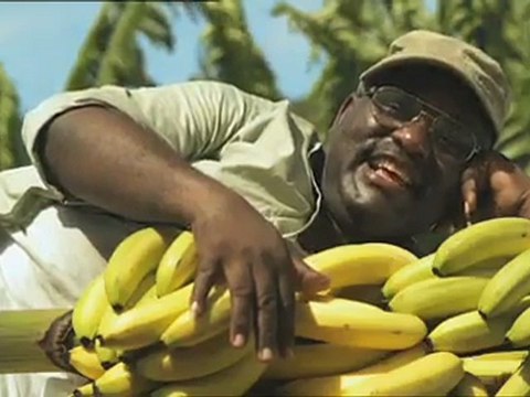 La caissière (Banane de Guadeloupe _ Martinique)