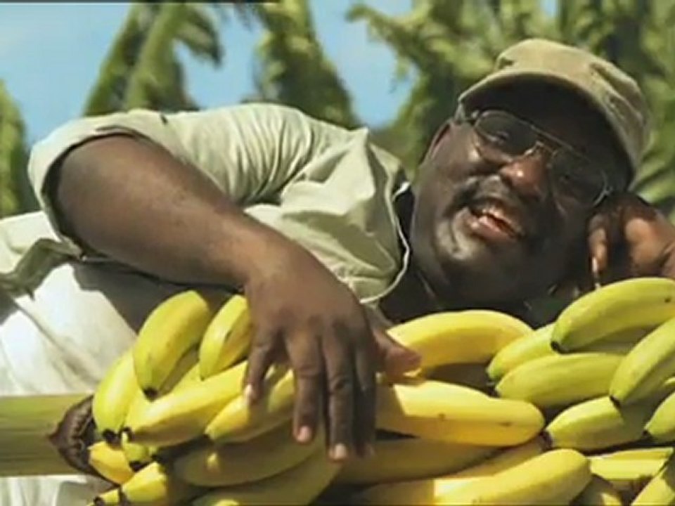 La caissière (Banane de Guadeloupe _ Martinique)