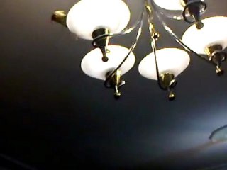 dişi papağan ötüşü