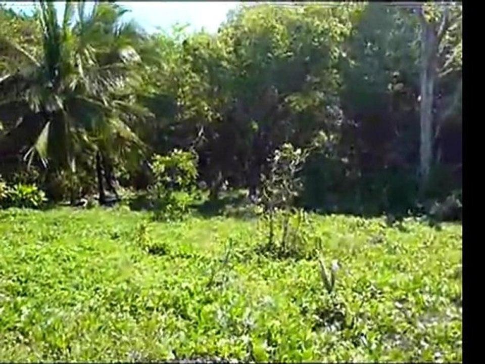 Two level beachfront property Sosua Area