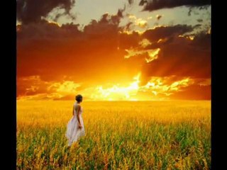 Aygün Fincanın Etrafı Yeşil