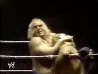Mil Mascaras vs Superstar Billy Graham - Madison Square Garden. pt2