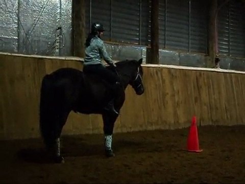 Sans selle, sans bride