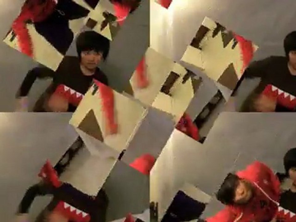 Final Video Project