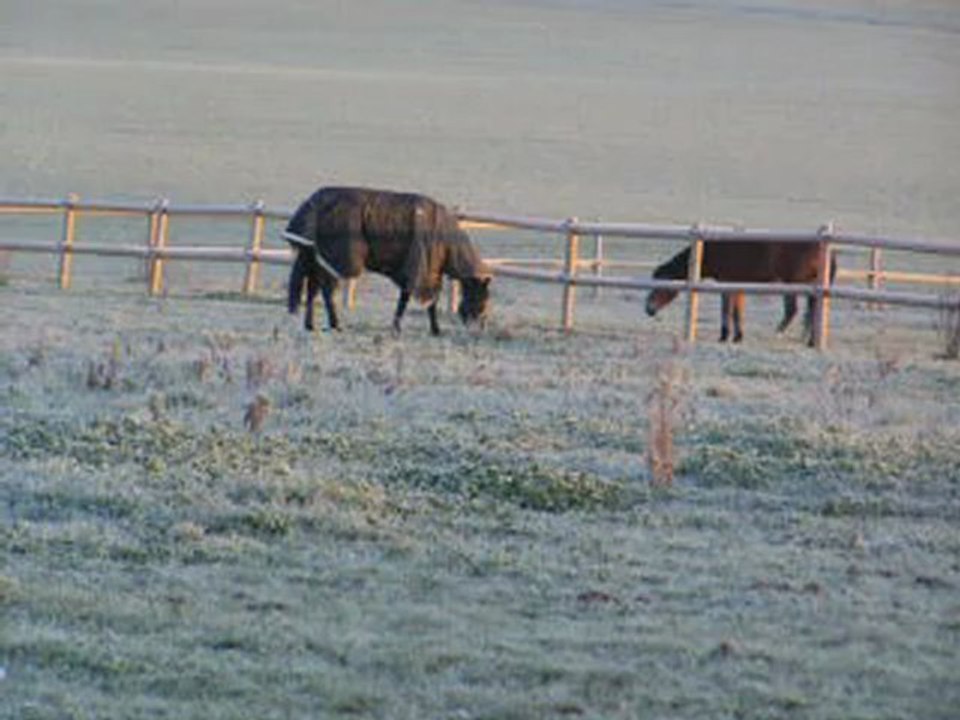 En une matinée verglacée