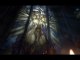 VGA 2011 : Intro de Diablo 3 en HD