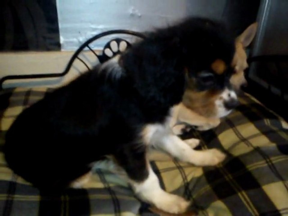 galilée ma petite poupette