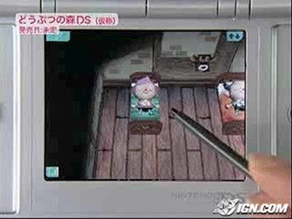 PUB animal crossing DS