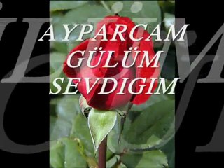 AY PARCAM GÜLÜM SEVDIGIM -ILAHI www.beyzam.piczo.com - YouTube