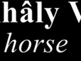 Mihâly Vig - Turin Horse