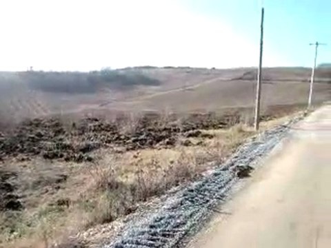 HAZER EMLAK TEL: 0546 851 6657 FERİZLİ SATILIK TARLA