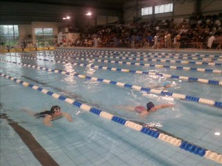 FRANCE NATATION 25 ,26  et 27 Novembre 2011