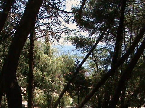 Фильм_0007 ИВАН 4 - 1 ПЁТР