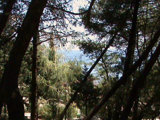 Фильм_0007 ИВАН 4 - 1 ПЁТР