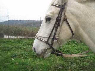 Carla mi-a facut o mare bucurie