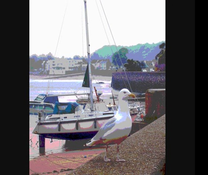 Animaux