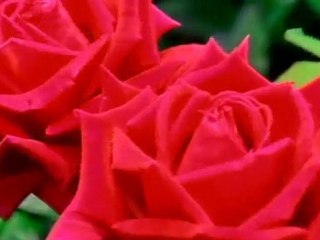 Magiciens,occultistes,astrologues...les voix du diable