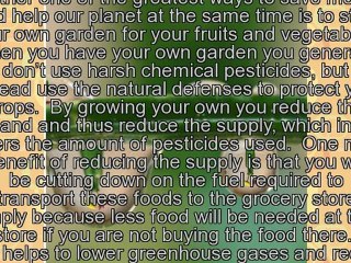 Going Green and Saving Money - Can it be done?