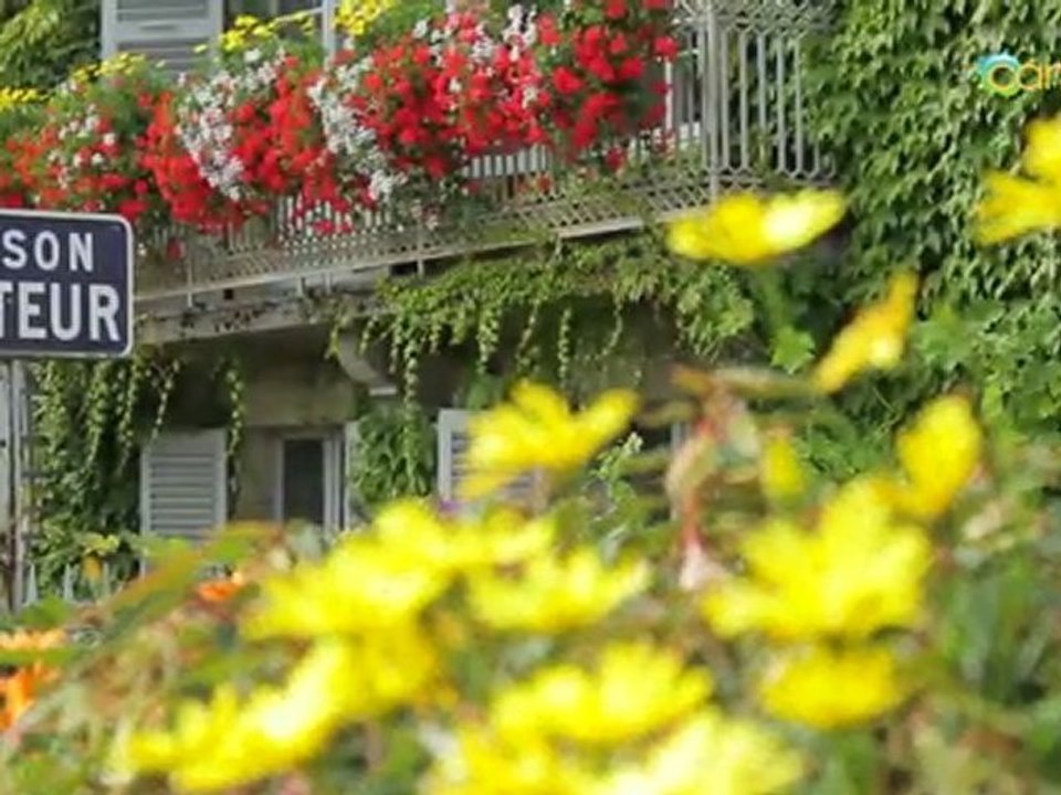 Camping Odésia Les Vignes - Arbois - Jura