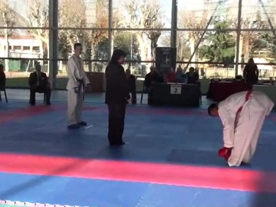 Coupe de ligue 2011 - Pierre