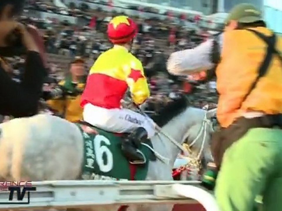 Hong Kong Cup 2011 : la Chine aux Chinois!