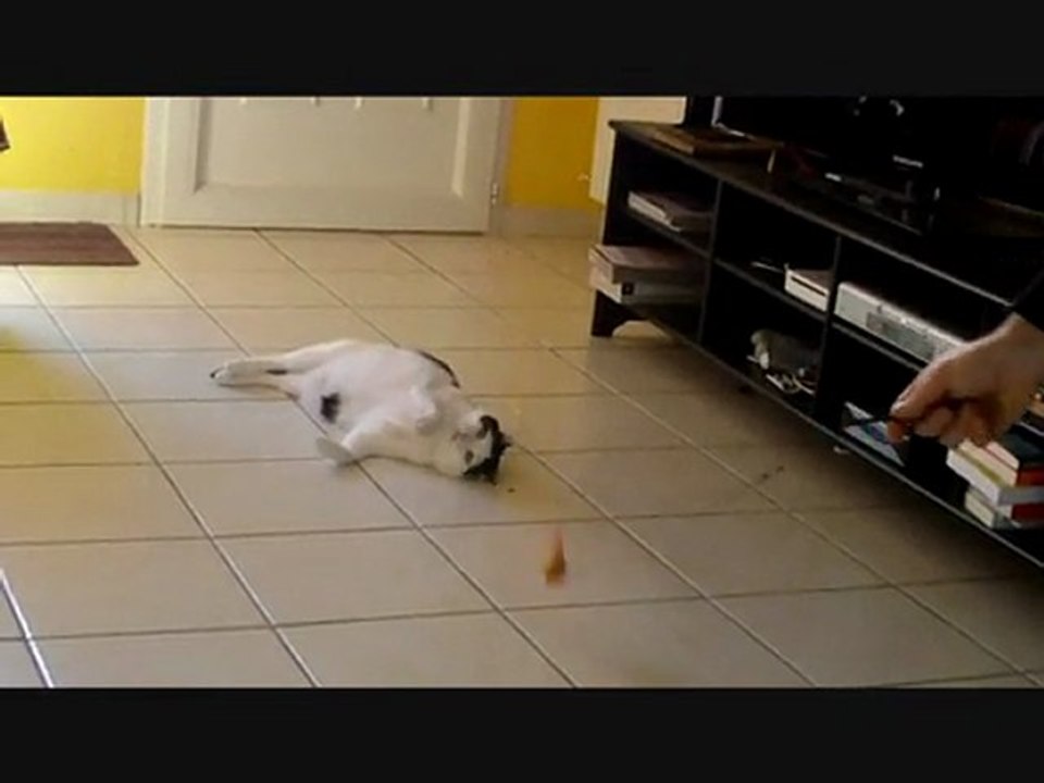 balou