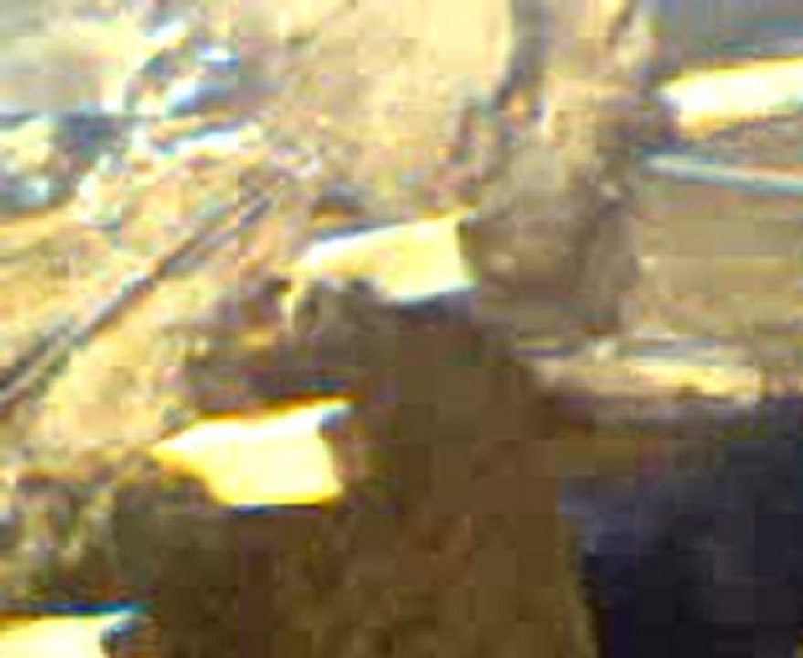 Video0013