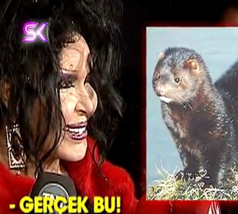 BÜLENT ERSOY, KIRMIZI KÜRKÜYLE ŞOV YAPARKEN HAYVANSEVERLERİ NASIL ÇILDIRTTI?