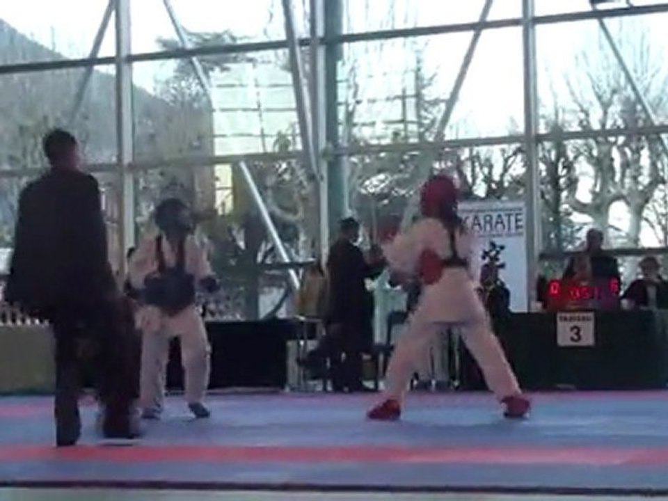 Coupe de ligue 2011 - Céleste