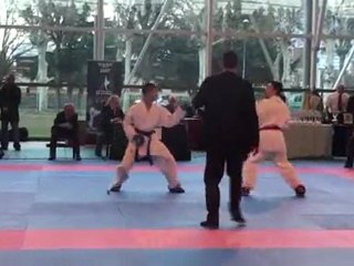 Coupe de ligue 2011 - Ngo1