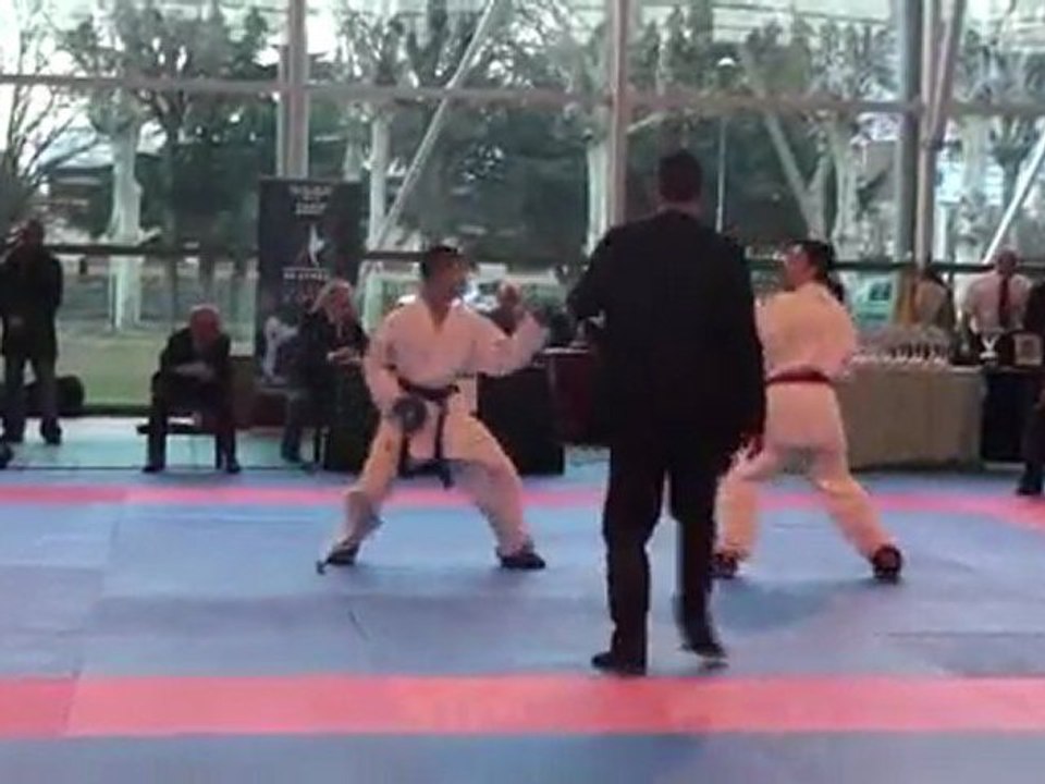 Coupe de ligue 2011 - Ngo1