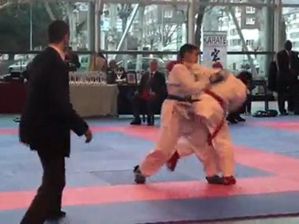 Coupe de ligue 2011 - Ngo3