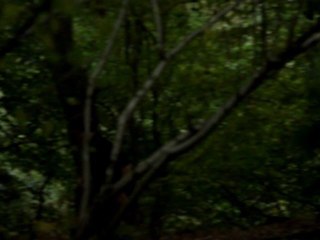 The Final Cut Blur Teaser v1