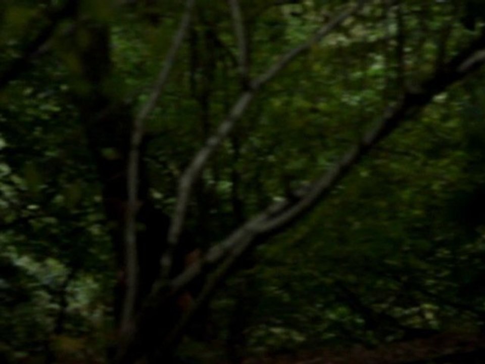 The Final Cut Blur Teaser v1