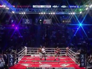 Adonis Stevenson vs Aaron Pryor Jr 2011-12-10