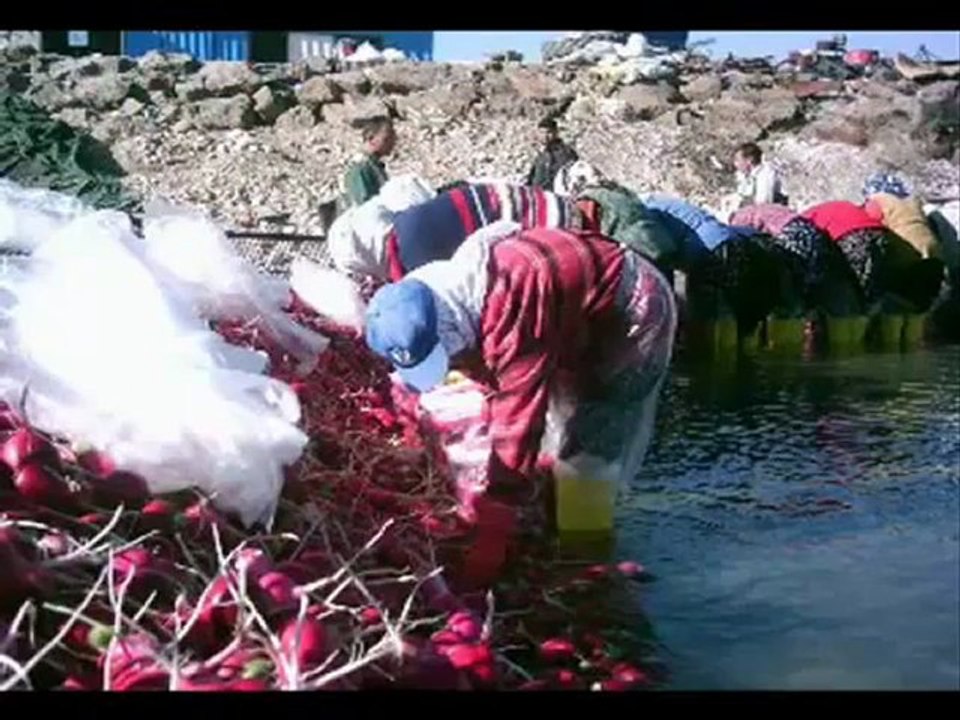 Turplar Vadisi  Tık Rekoru Kırıyor