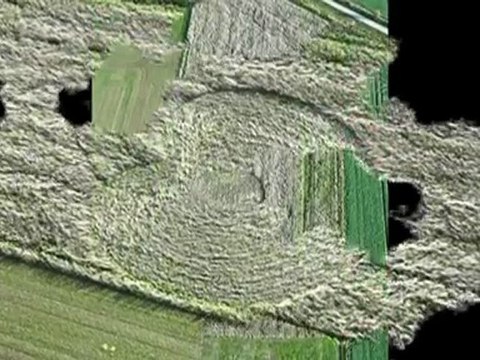 New. crop circles .Roundway Hill, Devizes, Wiltshire .UK .08.12.2011