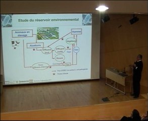 Escherichia coli, une bactérie dangereuse ?