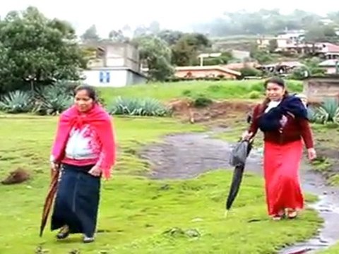 La salud no es cuestión de suerte