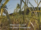 Case Départ - Trailer - english subtitles