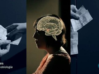 Decisiones emocionales: El juego del ultimatum