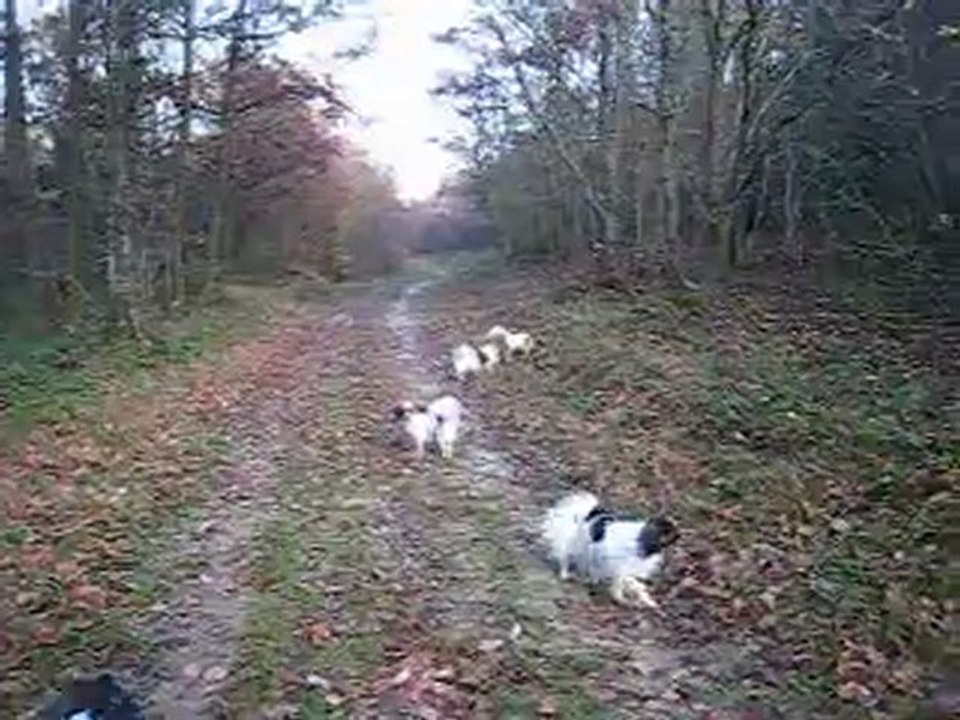 Promenade automnale en Décembre 2011