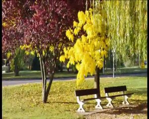 Présentation du CH Henri Laborit