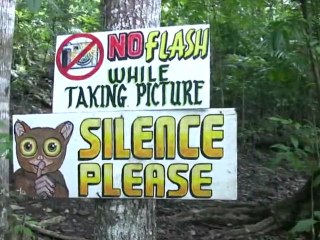 Tourism threatens tiny Philippine primate