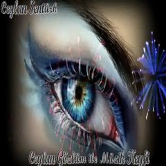 SEN BENDEN GİTTİN GİDELİ