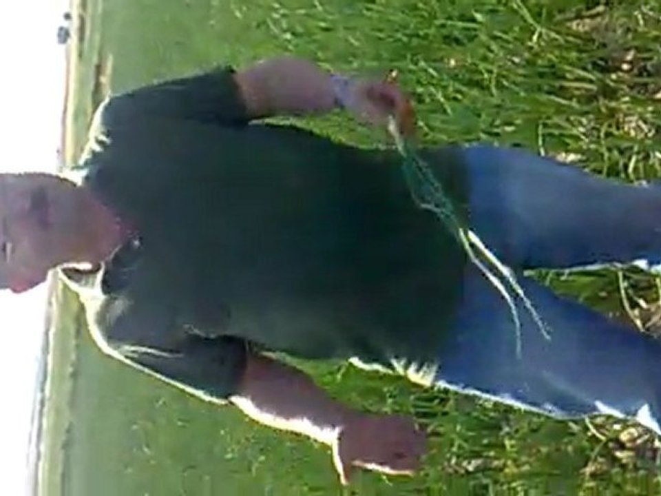 2011 şabanözü satılmış balcı soğanda secan uygulaması