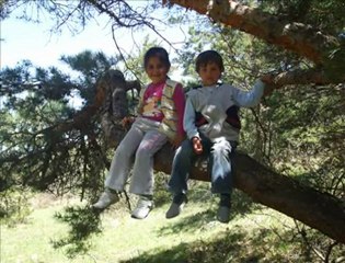 baştürk deveci köyü 66 yılmaz